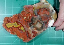 Really rare quality Paint Rock Agate end cut slab picture