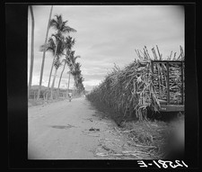Photo:Ponce Puerto Rico 1938 Sugar Plantation Train Loaded with Sugar Cane picture