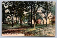 J88/ Wellington Ohio Postcard c1910 Park Scene Buildings 71 picture