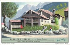 Faido Switzerland Swiss Chalets Liebig Trade Card No. 6 Ticino Advertising picture