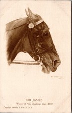 Postcard Horse racing - Sir James Winner of Nala Challenge Cup 1910 picture