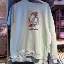 Disney Parks WDW Autumn Castle Frame Sweatshirt Adult Size L New picture