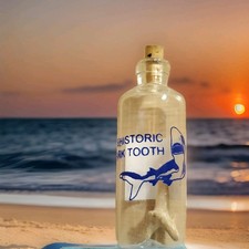 Myrtle Beach SC Prehistoric Shark Tooth in Small Glass Bottle w/ Cork Stopper picture