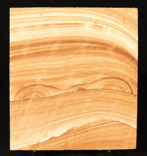 PICTURE Stone or SANDSTONE Slice and or Slab From Utah 266gr picture
