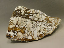 Wild Horse Polished Stone Slab Magnesite Arizona Rock #O14 picture