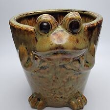 Frog Planter Ceramic picture