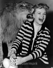 Anne Francis 💙1950s Vintage Actres Hollywood - 8x10 Publicity Photo - Actress picture