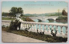 Vintage Scene in Duke's Park Somerville NJ Postcard 1909 Scenic View picture