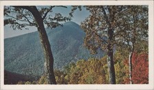 Vintage Blue Ridge Parkway Virginia and North Carolina Autumn Foliage Postcard picture