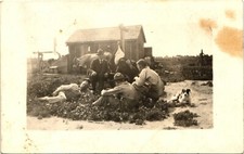 FARM HANDS ON BREAK real photo postcard rppc WORK SHED, DOG, COW occupational picture