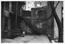 View deserted back yard a Third Avenue apartment building New York- Old Photo picture