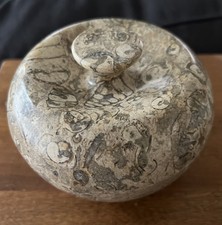Vintage Fossil Embellished Coral Stone Hand Carved Polished Bowl Jar With Lid picture