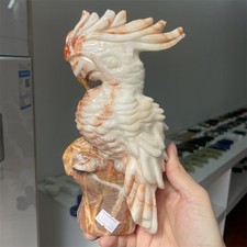 3.4LB 8.2