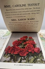 Vtg Nursery Salesman Sample Book Wayne Nurseries Newark NY 75 Color Plates picture