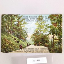 View in High Park Toronto Canada Early 1900s Postcard (Typed Front) Ontario picture
