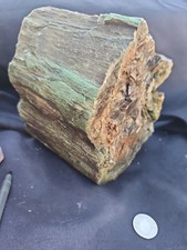 Zimbabwe Wood log natural form (8 lbs 12 oz) picture