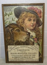Antique 1896 Victorian T. Hill Mansfield's Capillaris Tonic Litho Print Framed picture