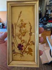 Vintage German Pressed Flower Specimen Botanical Framed Art Made in W. Germany picture