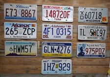 Variety of 10 expired 2013 Mixed State craft condition License Plate  E73 8867 picture