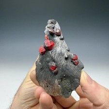 Almandine Garnet, Graphite Schist, Red Embers Mine, Erving, Franklin County picture