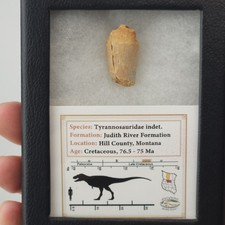 Tyrannosaur 1.03