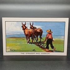 1934 Ripley's Believe It Or Not The Straight & Narrow Carreras Tobacco Cigarette picture