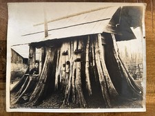 Original 1901 Darius Kinsey photograph 