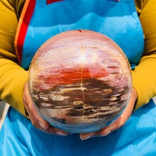2540g Natural Petrified Wood Polished Stone Quartz Crystal Sphere Ball Healing picture
