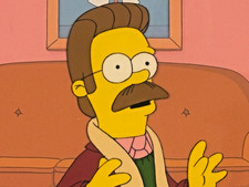 The Simpsons - FLANDERS Original Production Animation Cel with COA - FRAMED picture