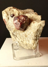 Almandine Garnets in matrix from Fryeburg, Maine picture