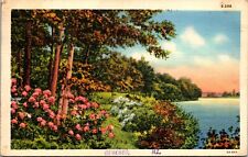 Postcard Geneseo Illinois Lake View Trees Flowers 1942 Linen CURT TEICH picture