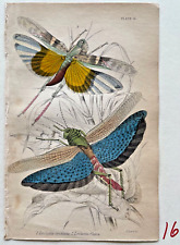1843 Jardine NATURALIST'S LIBRARY HC Mantis/Dragonflies/Crickets/MORE YOU SELECT picture