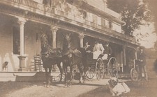 North Adams MA RPPC Horse Carriage Party Large House Dogs Real Photo Postcard picture