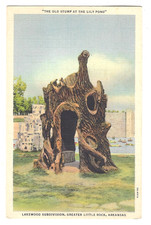 Postcard White Border Lakewood Sub. Little Rock, AR Old Stump Curt Teich picture