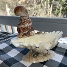 Parrot Trinket Tray Real Sea Shells Figurine Hand Made 7”x7.5” picture