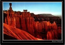 Vintage Bryce Canyon National Park Thores Hammer Postcard picture