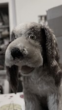 Vintage Original Steiff Cockie Mohair Plush Cocker Spaniel, No Tags or e button picture