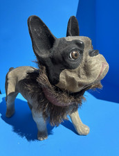Vintage 1920’s-30’s, Life Size, Nodding French Bulldog Papier-mâché Toy-Statue. picture