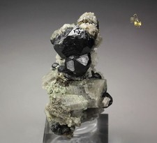 QUEBUL FINE MINERALS -  SPINEL, DIOPSIDE -  MacDonald Island, Canada picture