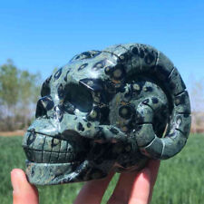 2.99LB Natural Kambaba Jasper Skull Hand Carving Quartz Crystal Skull Reiki Gift picture