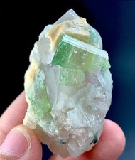 249 CTs Tourmaline Crystal specimen from Afghanistan picture