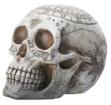 YTC 7.75 Inch Resin Skull with Astrology Engravings, White Colored  picture