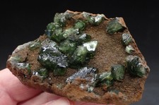 8749 Ludlamite Ludlamite ca7x4x7.5cm 0.1kg Cabeca do Cachorro Brazil 2023 picture