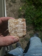 102Ct Natural Amber Calcite Quartz Crystal Honey Cluster Rough Specimen YGF629 picture