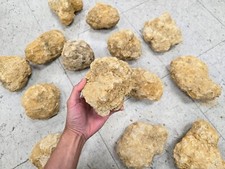 JUMBO Geode Break Your Own Unopened Quartz with Sparkly Quartz Inside Fun Gift picture