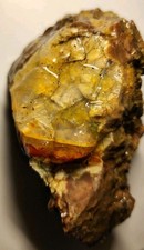 Exquisite Opal From Opal Butte, Oregon Rare Translucent Quality Opal Rough. 209g picture