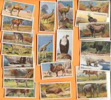 1924 JOHN PLAYER & SONS NATURAL HISTORY 50 TOBACCO CARD SET picture