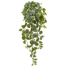 Nearly Natural 36in Fittonia Hanging Bush Artificial Plant Set of 2 picture