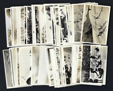 PATTREIOUEX (OTHER) - WINTER SCENES - FULL SET OF 48 CARDS picture