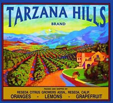 Tarzana Hills Reseda California Vintage Orange Citrus Fruit Crate Label Print picture